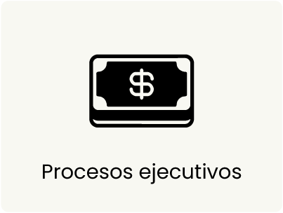 Procesos ejecutivos