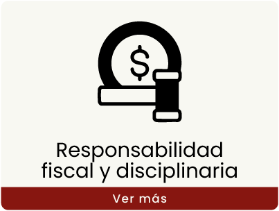 FM-Responsabilidad-fiscal-y-disciplinaria-icon-vermas