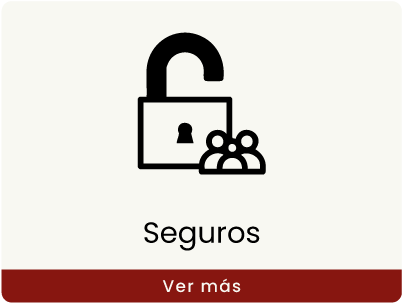 FM-Seguros-icon-vermas